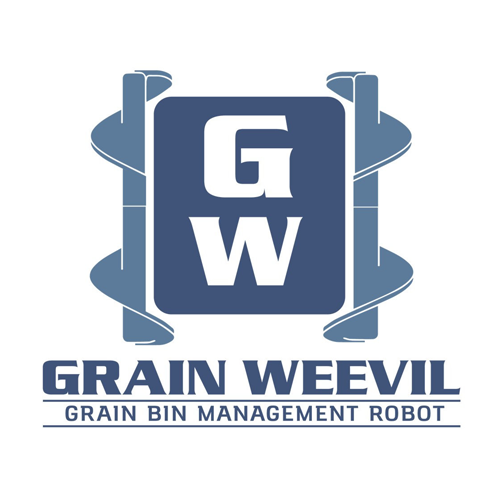 Grain Weevil